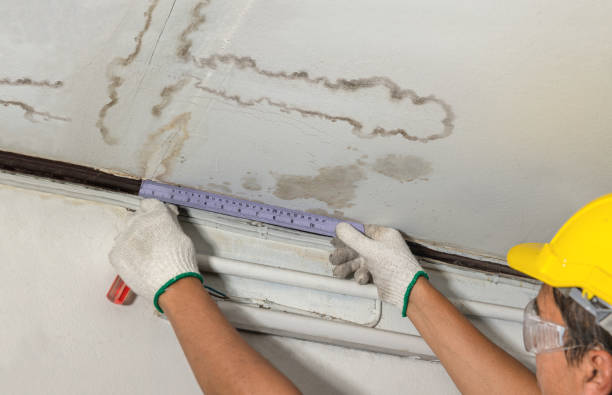 Reliable Structural Drying contractor in Lebanon, NJ by Water Damage Irwin